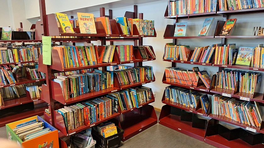 sortierte Bücherregale mit vielen Büchern